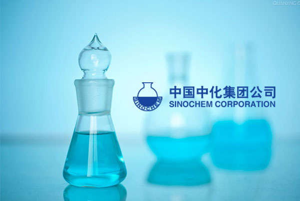 中化青島官網設計制作